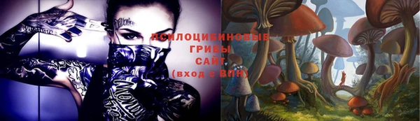бутират Горно-Алтайск
