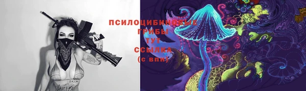 марки nbome Горняк