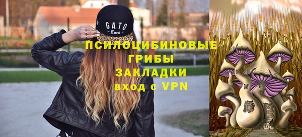 СК Горнозаводск