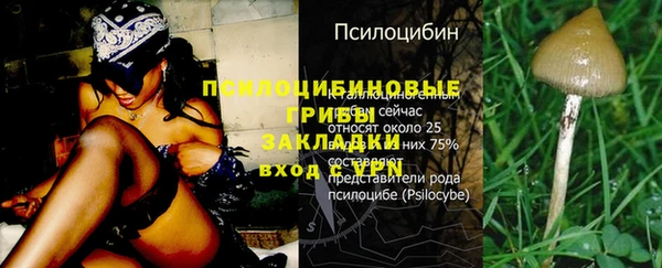 бутират Горно-Алтайск