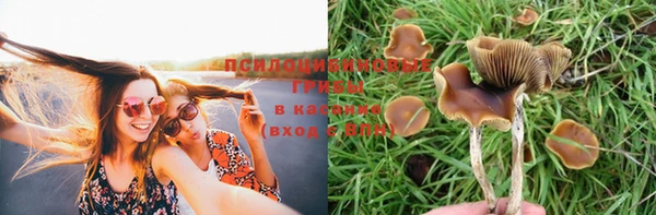 СК Горнозаводск
