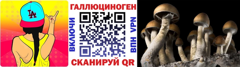 где можно купить наркотик Гудермес Псилоцибиновые грибы Magic Shrooms