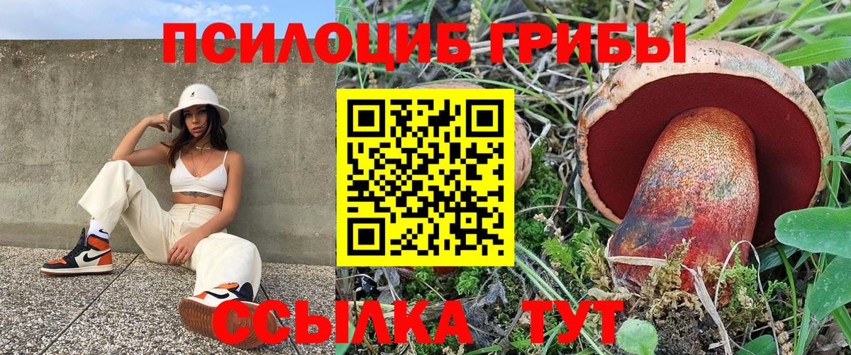 Галлюциногенные грибы Cubensis  Гудермес 