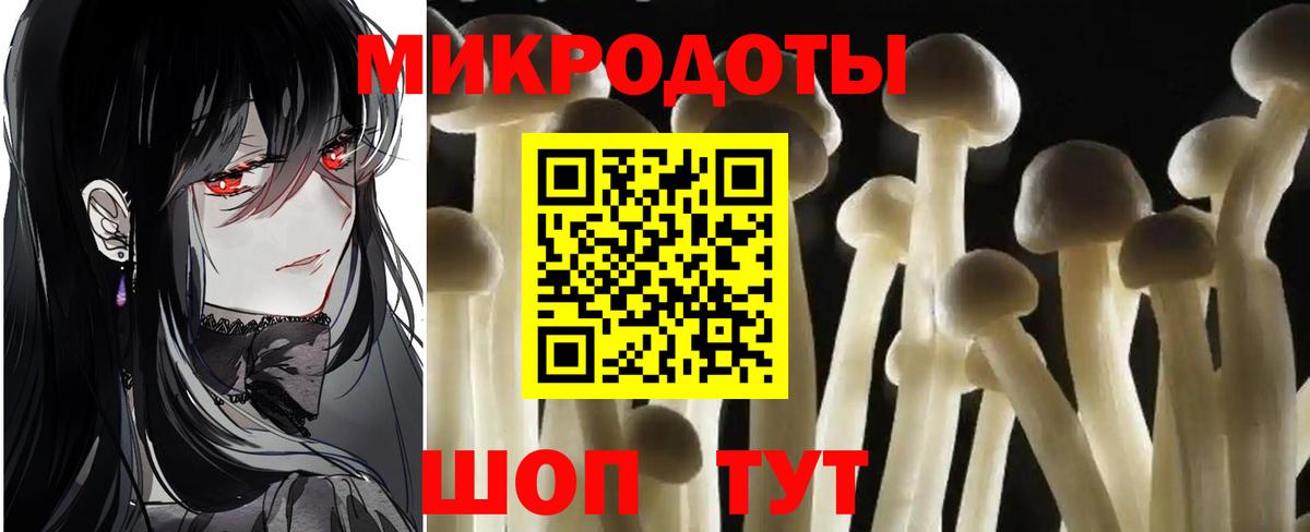 Гудермес  Галлюциногенные грибы Psilocybe  закладка  Вход с VPN 