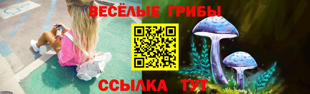 Псилоцибиновые грибы Magic Shrooms Гудермес