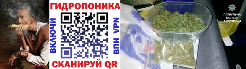 OMG ТОР где можно купить наркотик Гудермес Шишки марихуана марихуана